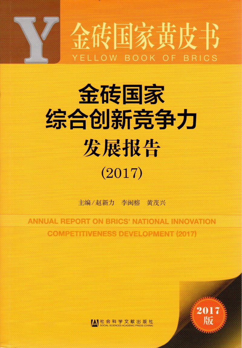 大屄操大屌金砖国家综合创新竞争力发展报告（2017）